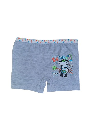 Dondeza 6Lı Kız Çocuk Renkli Likralı Pamuklu Boxer Külot (480847104)