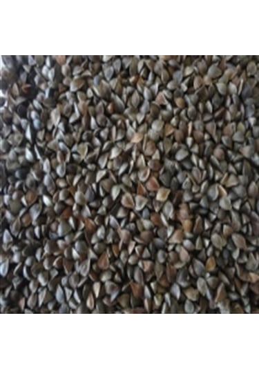 Buckwheat Bonie Horlama Yastığı Ortopedik Karabuğday Kabuğu ( Buc