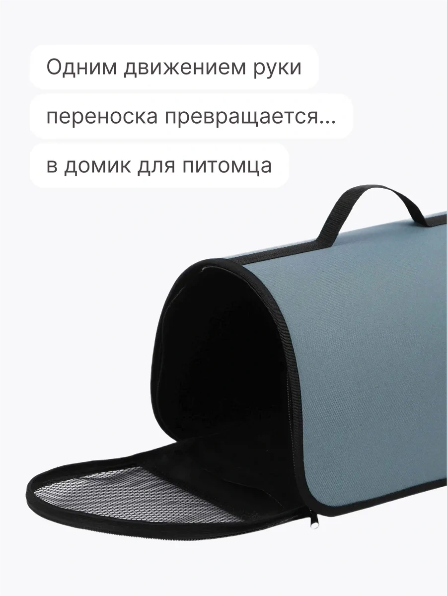 Rıch Breed Kedi Ve Köpekler İçin Taşıma Çantası, Saplı 420205168