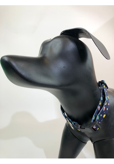 Mita Ayarlanabilir Köpek Boyun Tasması Space