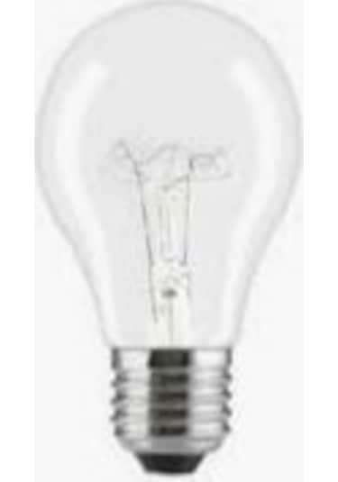 Longlıfe 100 W Armut Halojen Ampul