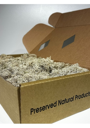 Reindermoss Şoklanmış Norveç Yosunu Terarium Yosunu Natural Green 500 Gr.