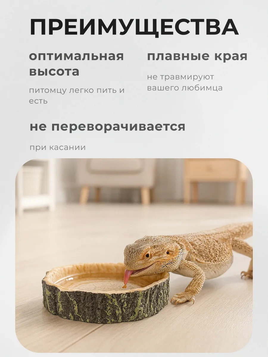 Petsroom Sürüngenler İçin Terraryum Kafesi Akvaryum Besleyici Abdesthiy Bulutma 147979661