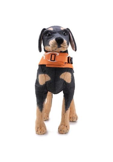 Homyl Köpek Can Yeleği Yüzme Pet Mayo Kostüm Turuncu-m