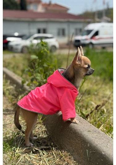 Kedi - Köpek Kıyafeti Kapşonlu Pembe Yağmurluk & Mont