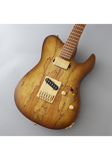 Fujigen Iliad Elektro Gitar Eılew1hsrm/hcb