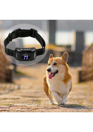 Suntek Köpek Şok Eğitim Tasması Su Geçirmez Şarj Siyah