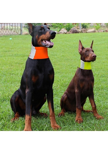 Homyl Pet Köpek Kedi Yansıtıcı Yaka Yavru Emniyet Boyun Askısı Sarı