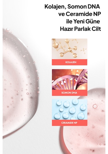 Phlab Collagen Night Serum 30 ML