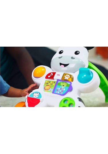 Fisher Price Melodili Zebra Yürüteç Dld80 - Diğer