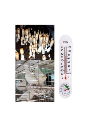 Isı ve Nem Ölçer Termometre