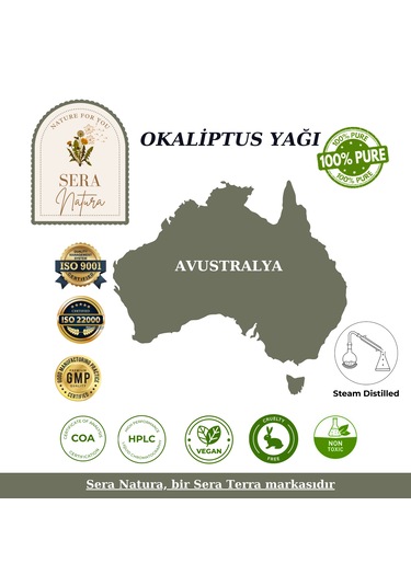 %100 Saf Okaliptus Uçucu Yağı 10 Ml - Doğal Nefes Ve Terapi Etkili Eucalyptus Globulus 10 ML