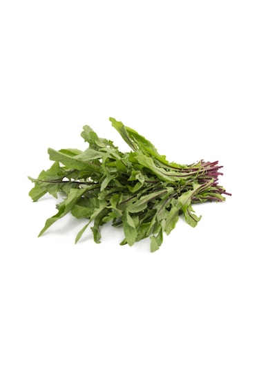 Nadir Hindiba Tohumu 100 Adet Tohum Hindibağ Tohumu Hindibağı Tohumu Hindi Bağı