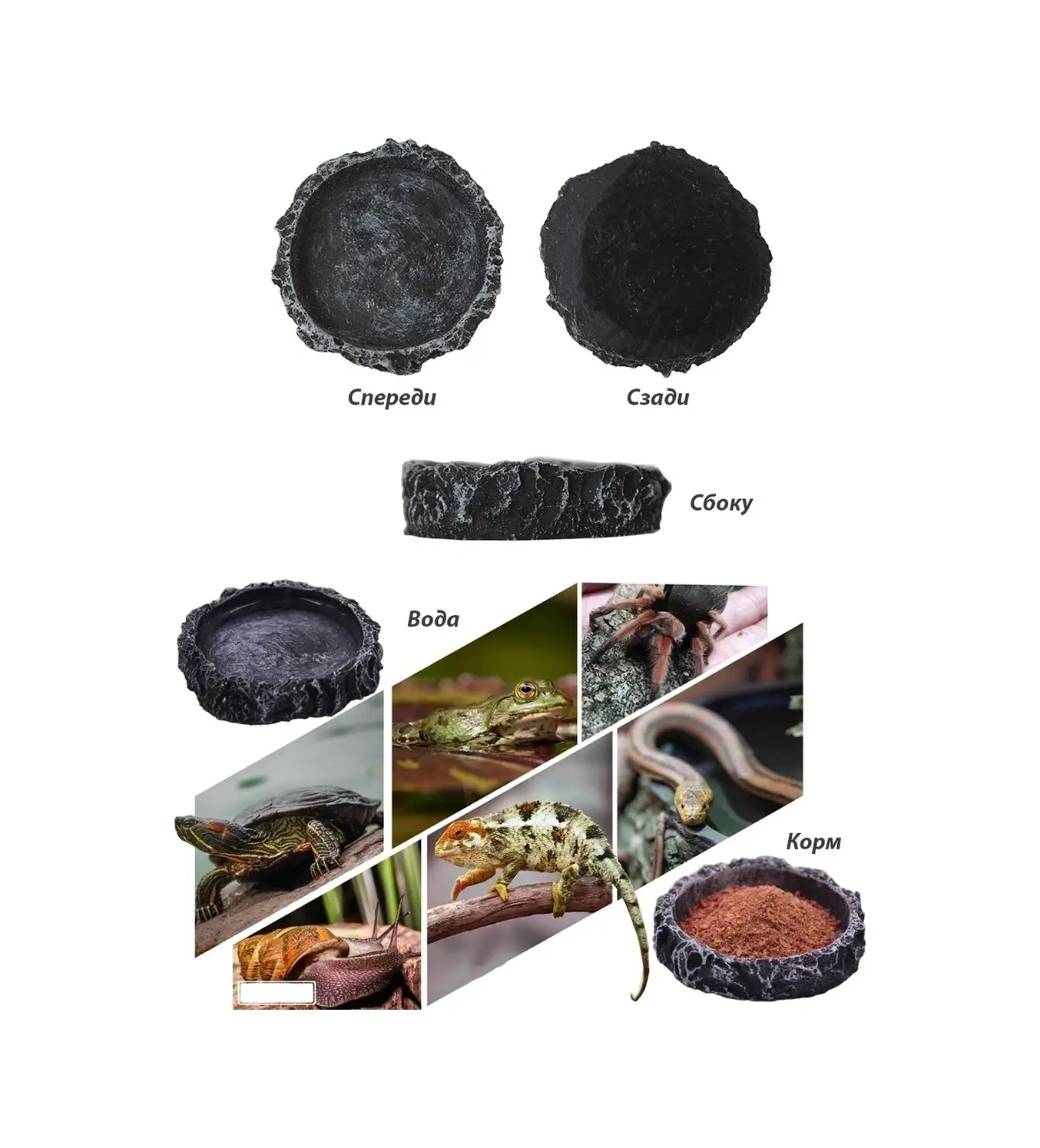 Petsroom Sürüngenler İçin Terraryum Kafesi Akvaryum Besleyici Abdesthiy Bulutma 23631176