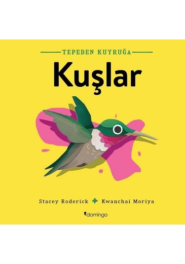 Tepeden Kuyruğa - Kuşlar - Stacey Roderick - Domingo Yayınevi