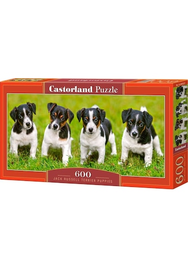 Castorland 600 Parça Puzzle - Jack Russell Terrier Köpek Yavrular