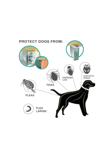 Pire Ve Kene Yaka Köpekler İçin Alüminyum Kasa İle Kediler, Boyut: 72cm Turuncu Çok Renkli