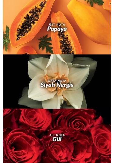 Passion Dance Ve Passion Dance Dark Kadın Parfüm Paketi Diğer