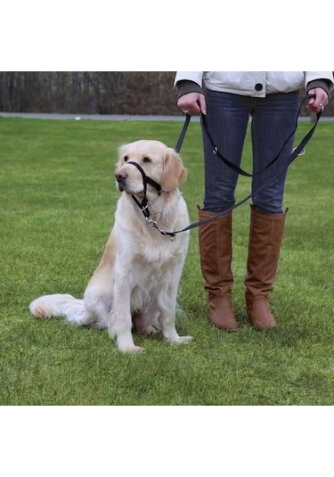 Trixie Uzman Köpek Eğitim Tasması S 22cm