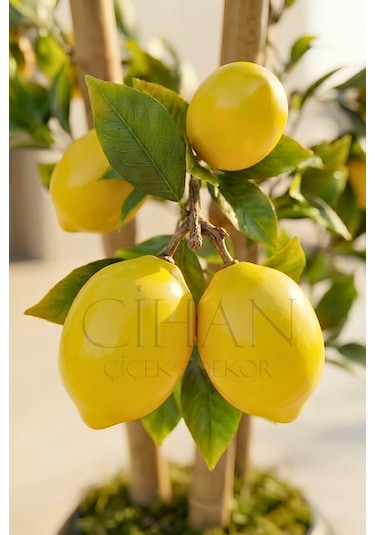 Cihan Çiçekçilik Yapay Limon Bambu Ağacı - Beyaz Küre Saksılı 100 Cm