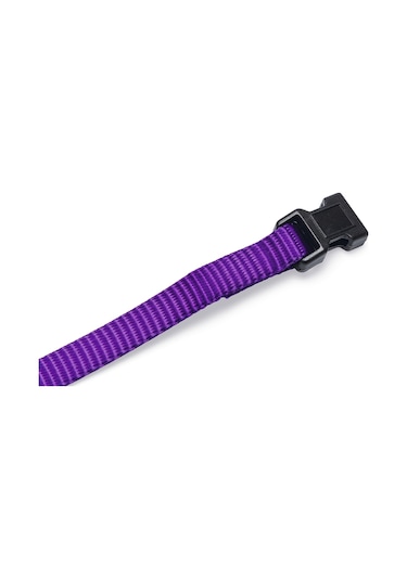 Beeztees Yavru Köpek Boyun Tasması, Çeşitli Renklerde, 22-35cm, 10mm Çok Renkli