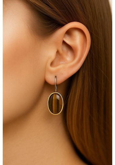 Beyisa Asya Serisi El İşi Gümüş Kahverengi Kaplangözü Taşlı Bayan Küpe Gümüş