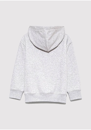 Mavi Fermuarlı Gri Erkek Çocuk Sweatshirt M6s10138-88467 Gri