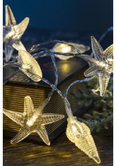 Deniz Kabukları Led Işık Gün Işığı