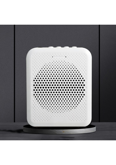 Reedark Deli Akıllı Gürültü Azaltmalı Mikrofonlu Ses Yükseltici - Usb/tf/aux Girişli, 1200mah Şarjlı, Öğretmen/rehber İçin