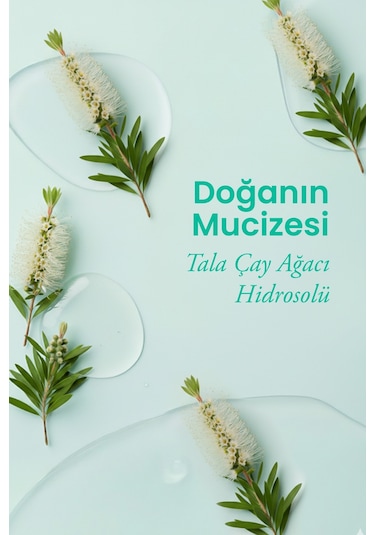 Tala Çay Ağacı Suyu Akne Karşıtı Ve Gözenek Sıkılaştırıcı Arındırıcı Tonik %100 Saf Ve Doğal 100 ML