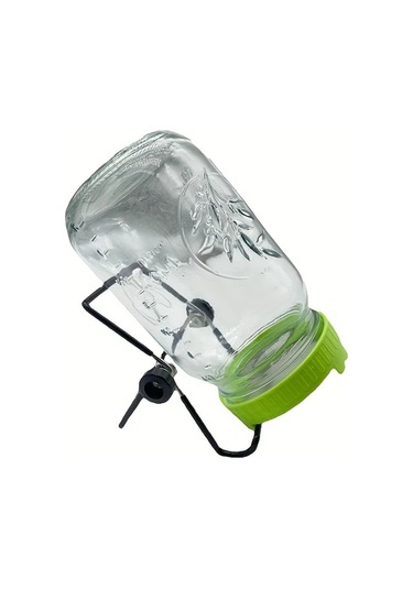 Willowhaven Evde Kendiniz Sağlıklı Yeşil Filiz Yetiştirme Kiti 1 Adet