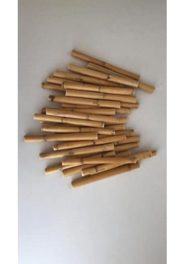 Bambu 10 Cm 12 'li Paket
