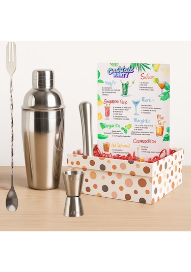 Perlotus Kokteyl Shaker Jigger Mojito Tokmak Bar Kaşığı Kokteyl Tarifleri Seti Kutusunda