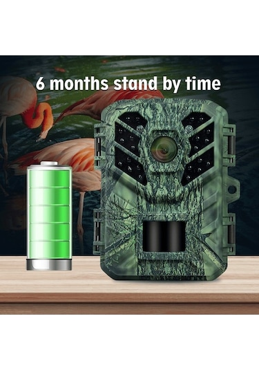 Dancemonkey Kamera Gece Görüşlü Yaban Hayatı İzleme, Hareket Aktivasyonlu Küçük Oyun Kamera Çok Renkli