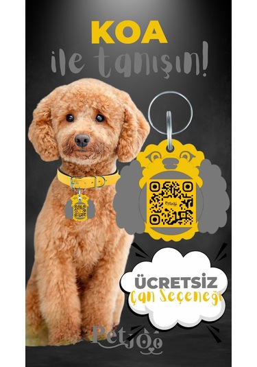 Petjoo 14.Koa Gri-Sarı Qr'lı Köpek Künyesi