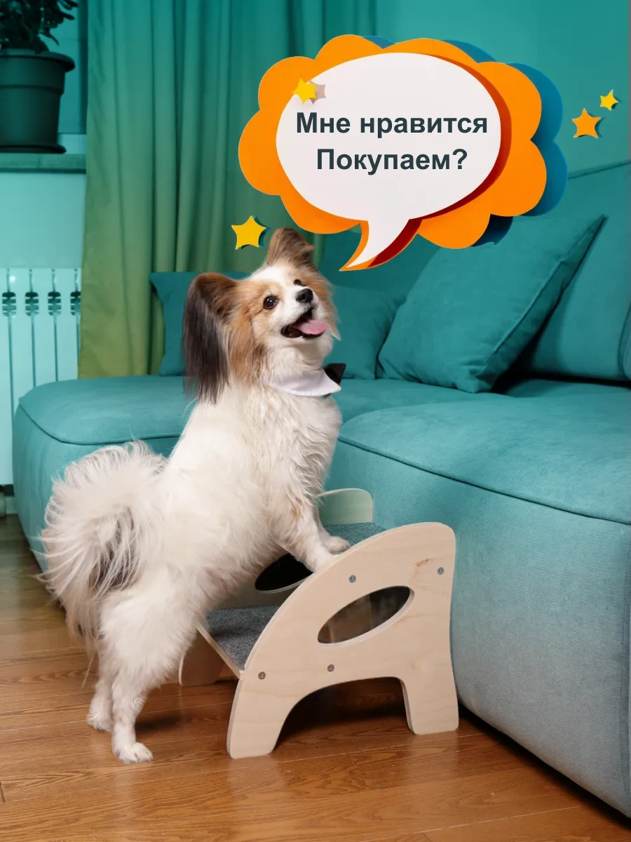 Köpekler İçin Yatak Başı Merdiveni 292410994