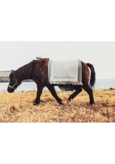 50 Years Of Marc O'Polo