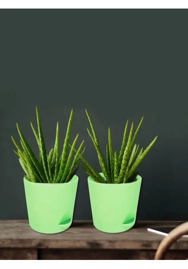 Interm Orkide Çiçek Sukulent Kaktüs İçin 1 Litre Otomatik Sulama Saksısı 137699991