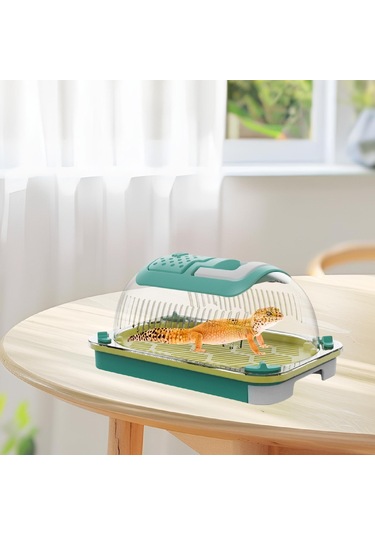 Homyl Terrapin Kaplumbağası Için Sürüngen Teraryumu