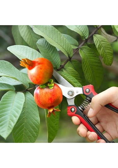 Budama Makası Makas Ağır Paslanmaz Çelik Ultra Keskin El Budama Makası Bahçe Mavi