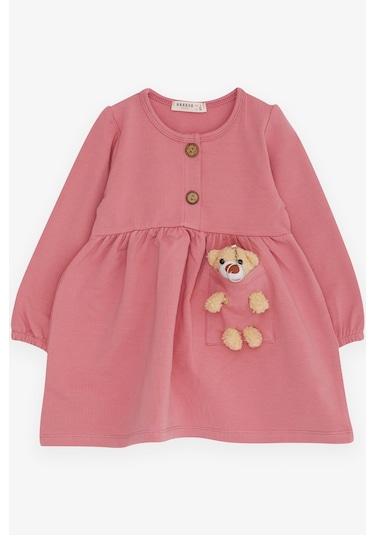Breeze Kız Çocuk Uzun Kollu Elbise Ayıcık Aksesuarlı 2-6 Yaş, Gülkurusu