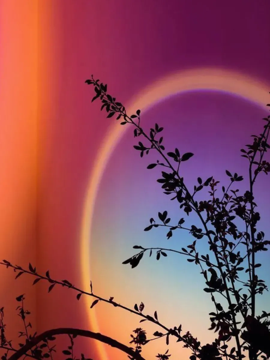 Menko Aydınlatma Gökyüzü Lambası Gece Lambası 285290232 Siyah