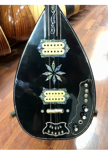 Profesyonel Ardıç Ağacı Manyetikli Elektro Bağlama