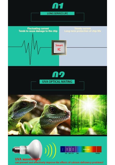 Lichen Sürüngen Isıtma Lambası, 50w E27 Uva Isıtma Lambası