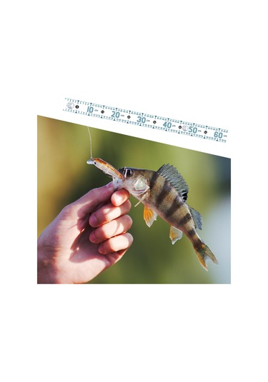 Homyl Balık Ölçme Aracı 51.18 '' Tekne Yelkenliler Beyaz-b