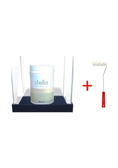 Bianca Stella Akrilik Dönüşüm Boyası Beyaz 1 Kg + Rulo