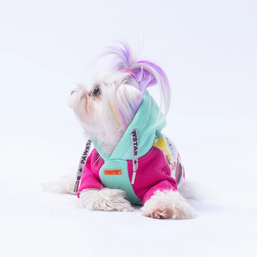 Rio Kedi Köpek Hoodie