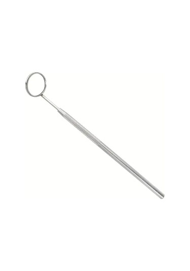 Willowhaven 9 Parçalı Profesyonel Diş Temizleme Seti Paslanmaz Çelik Evcil Ve Yetişkin Hayvanlar İçin