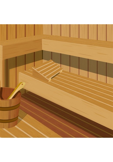 Hg Hijyenik Sauna Temizleyici