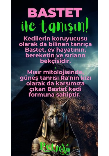 Petjoo 1.Bastet Yeşil-Pembe Qr'lı Kedi Künyesi